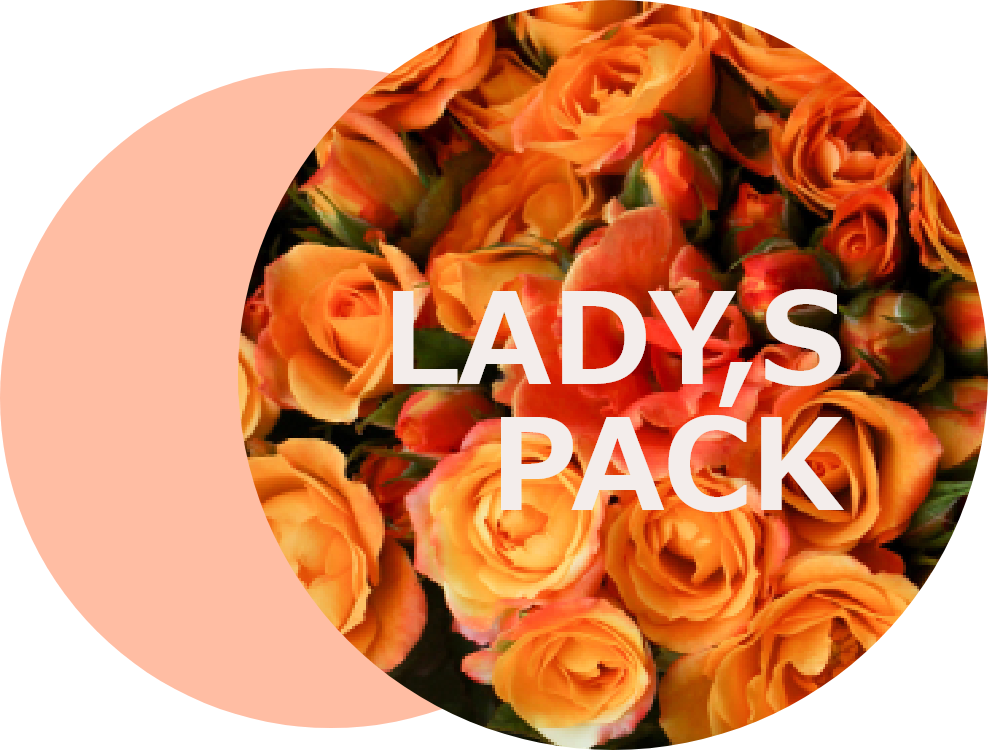 レディース料金のアイコン画像