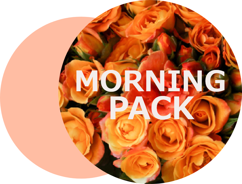 モーニングパック料金のアイコン画像