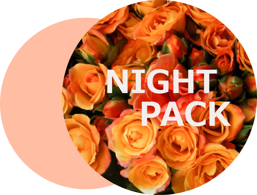 ナイトパック料金のアイコン画像