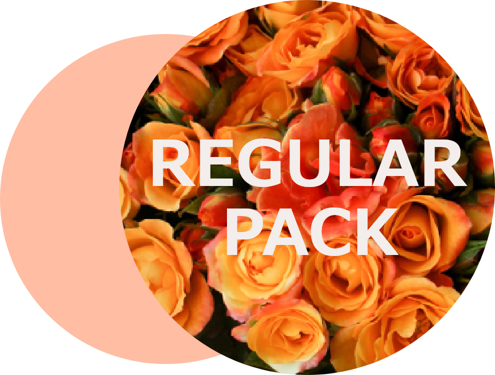 レギュラー料金のアイコン画像